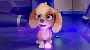 Untitled234 20250804004814.png (588 KB) Collar only (PAW Patrol: The Mighty Movie)