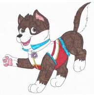Ryder pup title card