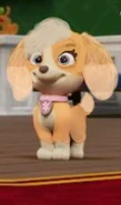 S11 Softer collar only.png (42 KB) Collar only (Season 11)
