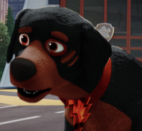 Ares (Rottweiler)
