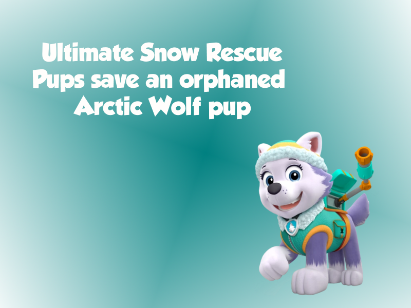 Arctic paw patrol clearance