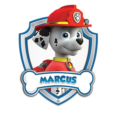 Catégorie:Personnages | Wiki PAW Patrol : La Pat' Patrouille | Fandom