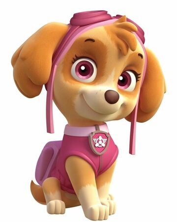 Stella Wiki Paw Patrol La Pat Patrouille Fandom