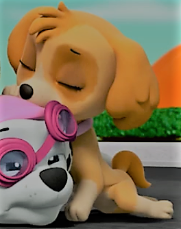 Marshall X Skye love History Paw Patrol love stories Wikia Fandom