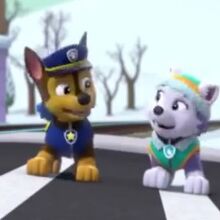 Chase X Everest Paw Patrol Love Stories Wikia Fandom