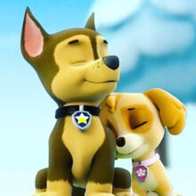 Chase X Skye | Paw Patrol Love Stories Wikia | Fandom