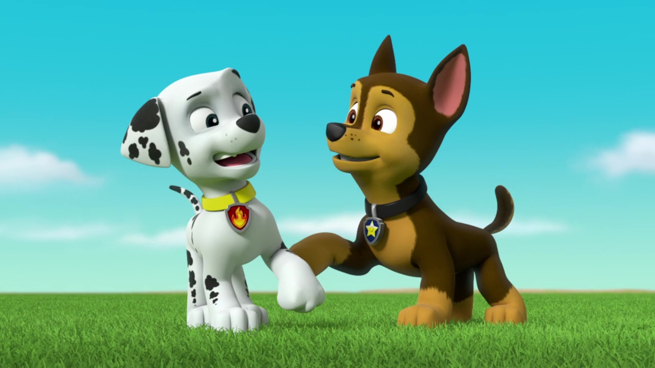 PAW PATROL PERSONAGGI-SCEGLI QUELLI CHE VUOI ROCKY,CHASE,MARSHALL