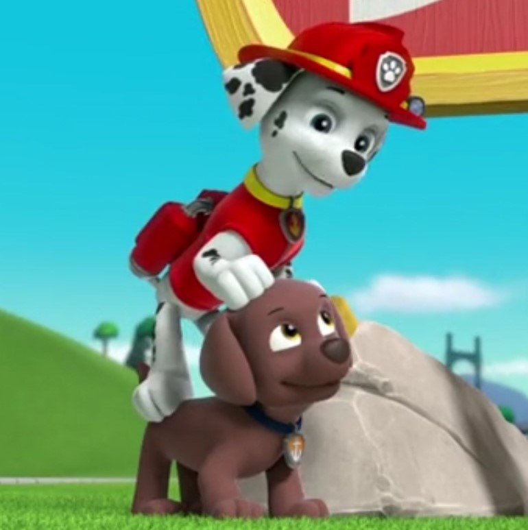 paw patrol rocky and marshall