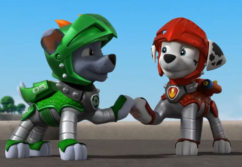 Paw Patrol-Rocky