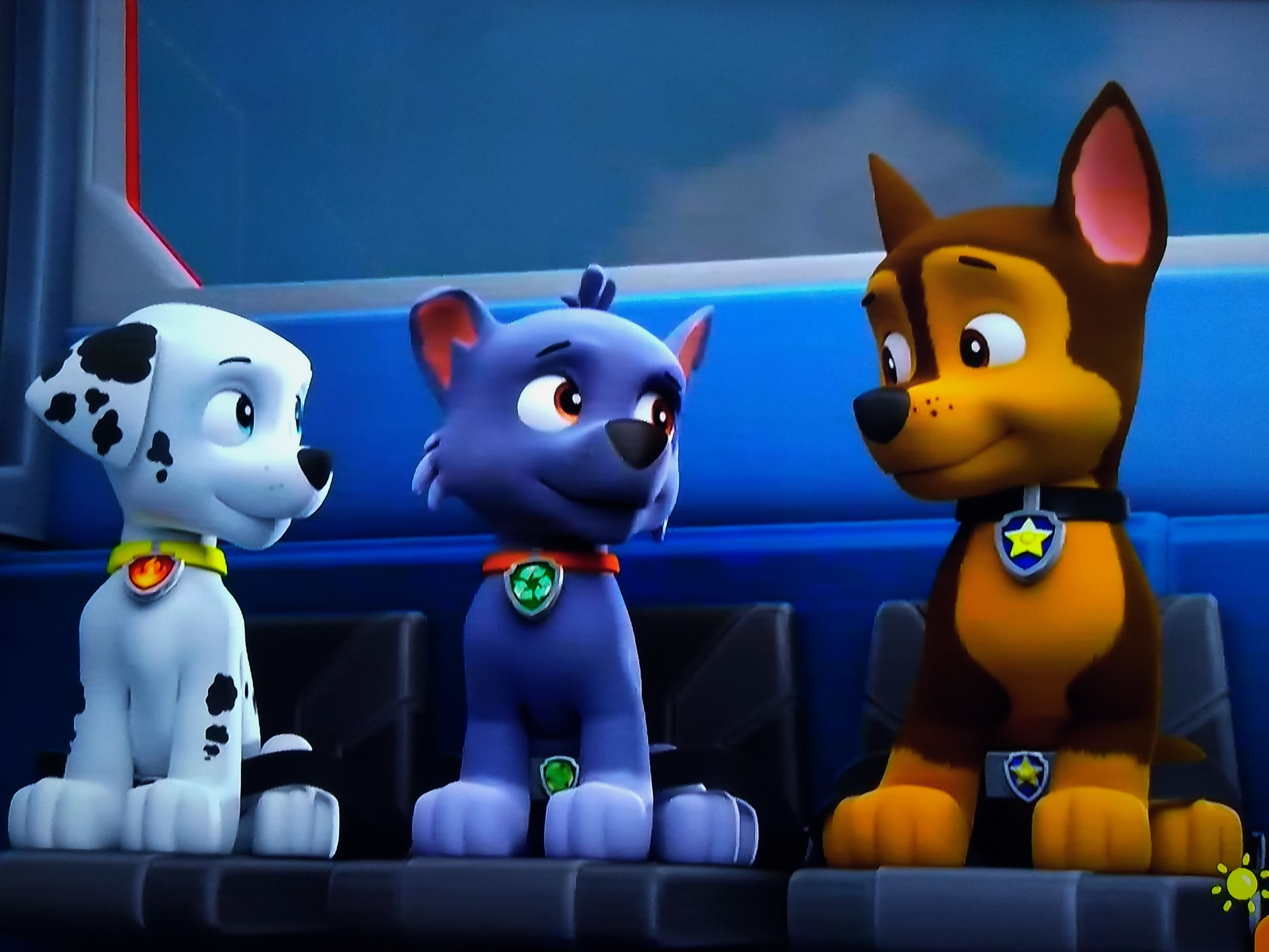 b & m paw patrol