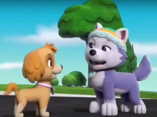 Tracker, Paw Patrol Relation Ship Wiki