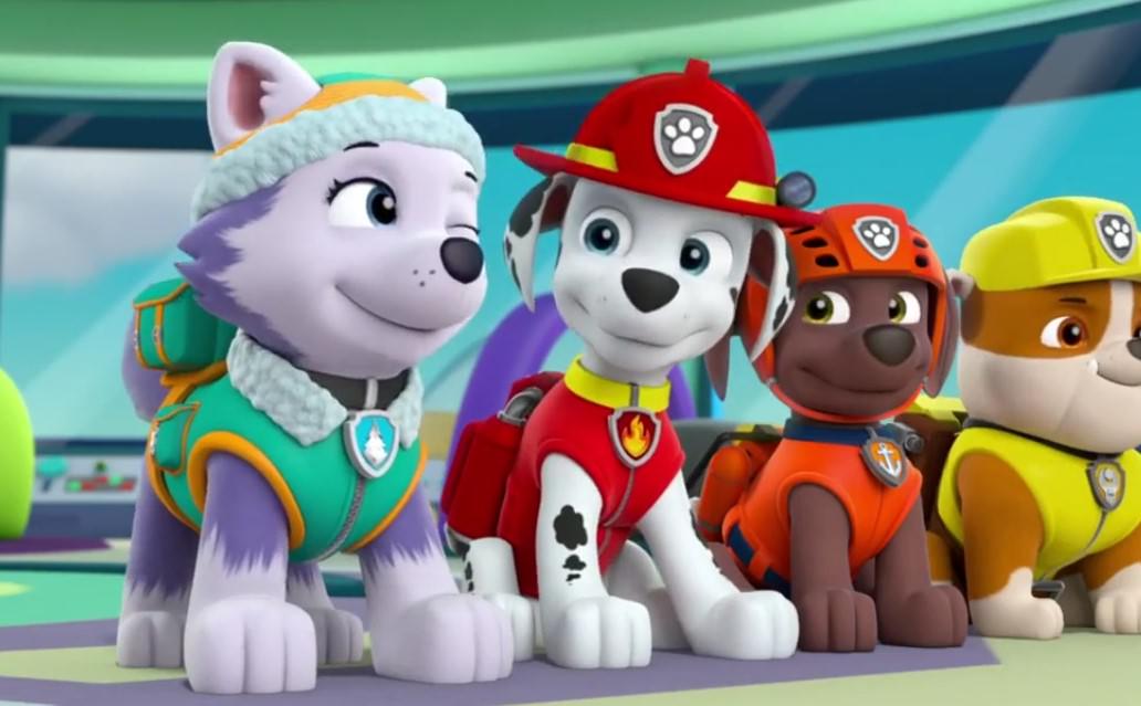 marshall and zuma paw patrol