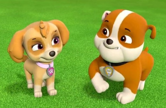 Rubble X Skye | Paw Patrol Relation 