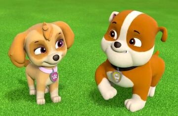 Paw patrol rocky x skye hotsell