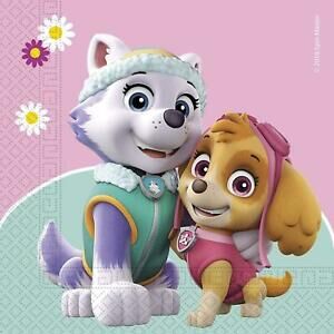 Skye & Everest, Paw Patrol Relation Ship Wiki