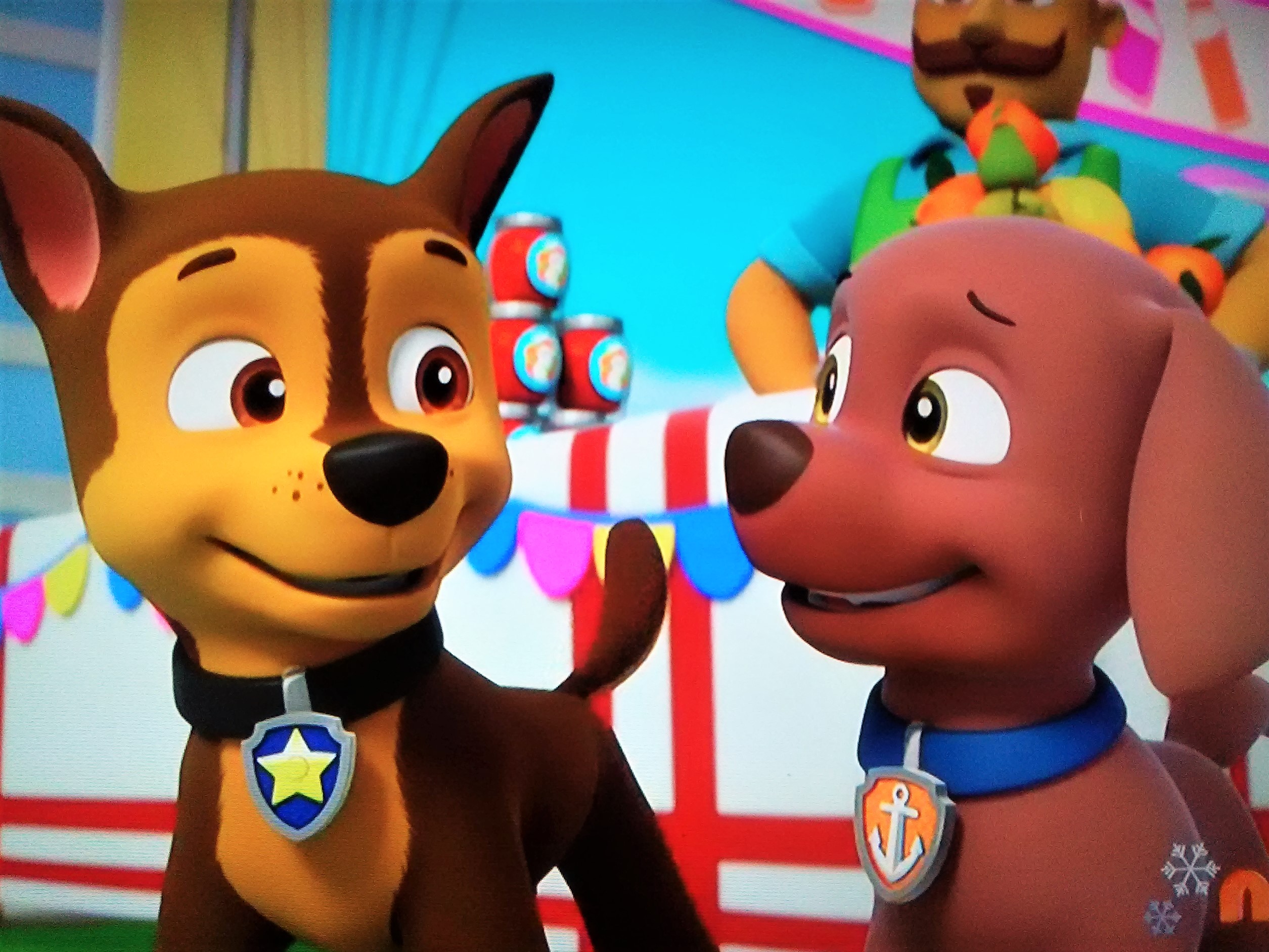 Zuma, Paw Patrol Relation Ship Wiki