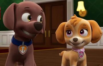 Paw patrol chase and clearance zuma