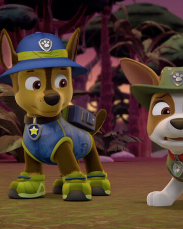 paw patrol talking chase