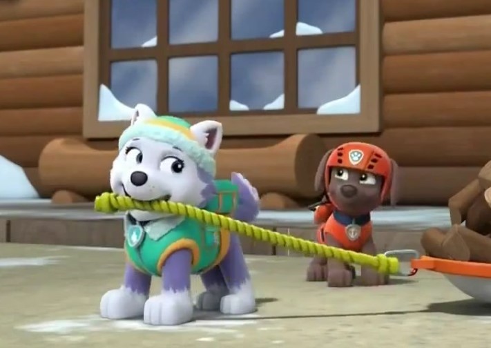 Zuma & Everest, Paw Patrol Relation Ship Wiki