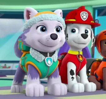 skye marshall paw patrol