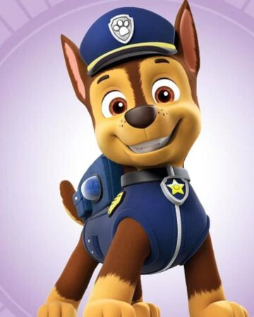 chase paw