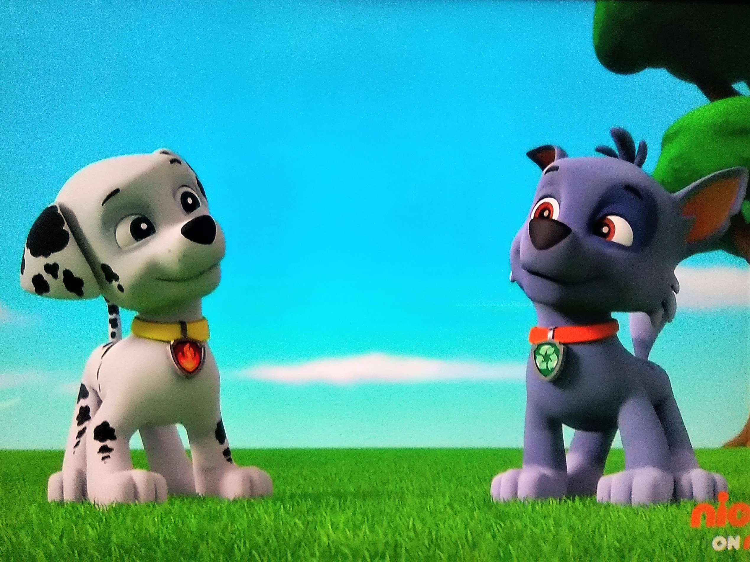 Rocky & Marshall, Paw Patrol Relation Ship Wiki