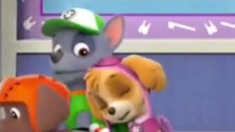 Paw patrol sale rocky and skye
