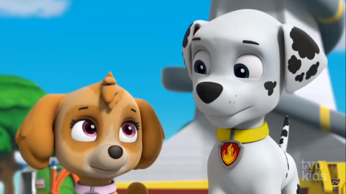 Marshall And Skye Gallery Paw Patrol Relation Ship Wiki Fandom