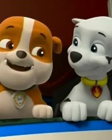 Marshall Rubble Paw Patrol Relation Ship Wiki Fandom