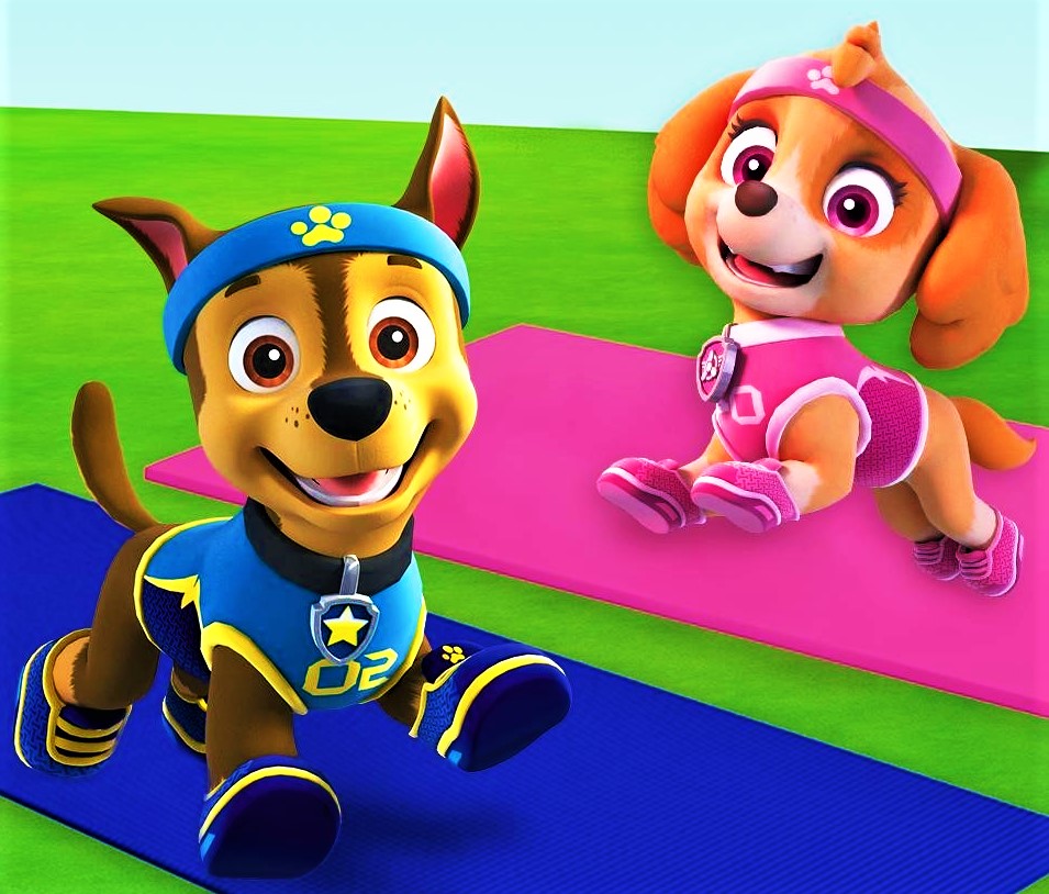 Chase & Skye, Paw Patrol Relation Ship Wiki