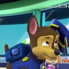 paw patrol chase and zuma