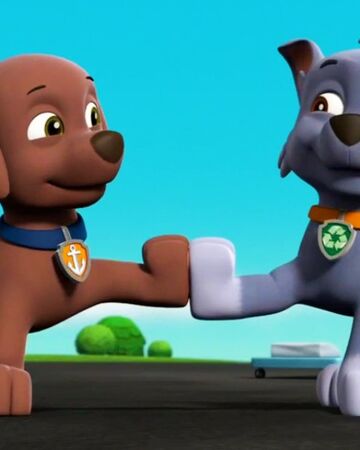 paw patrol flip and fly zuma