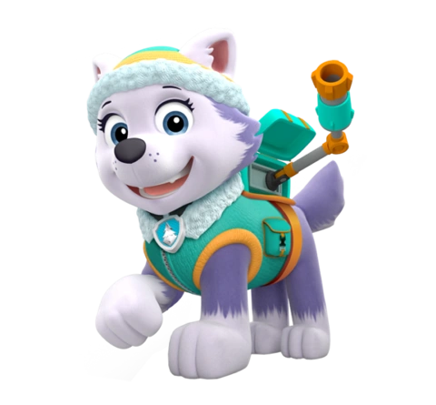 baby everest paw patrol