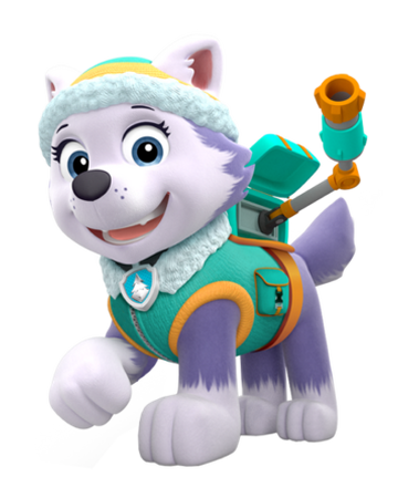 paw patrol stuffed animals everest