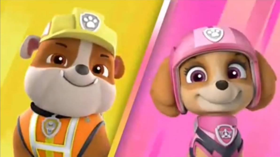 Rubble and skye paw patrol store