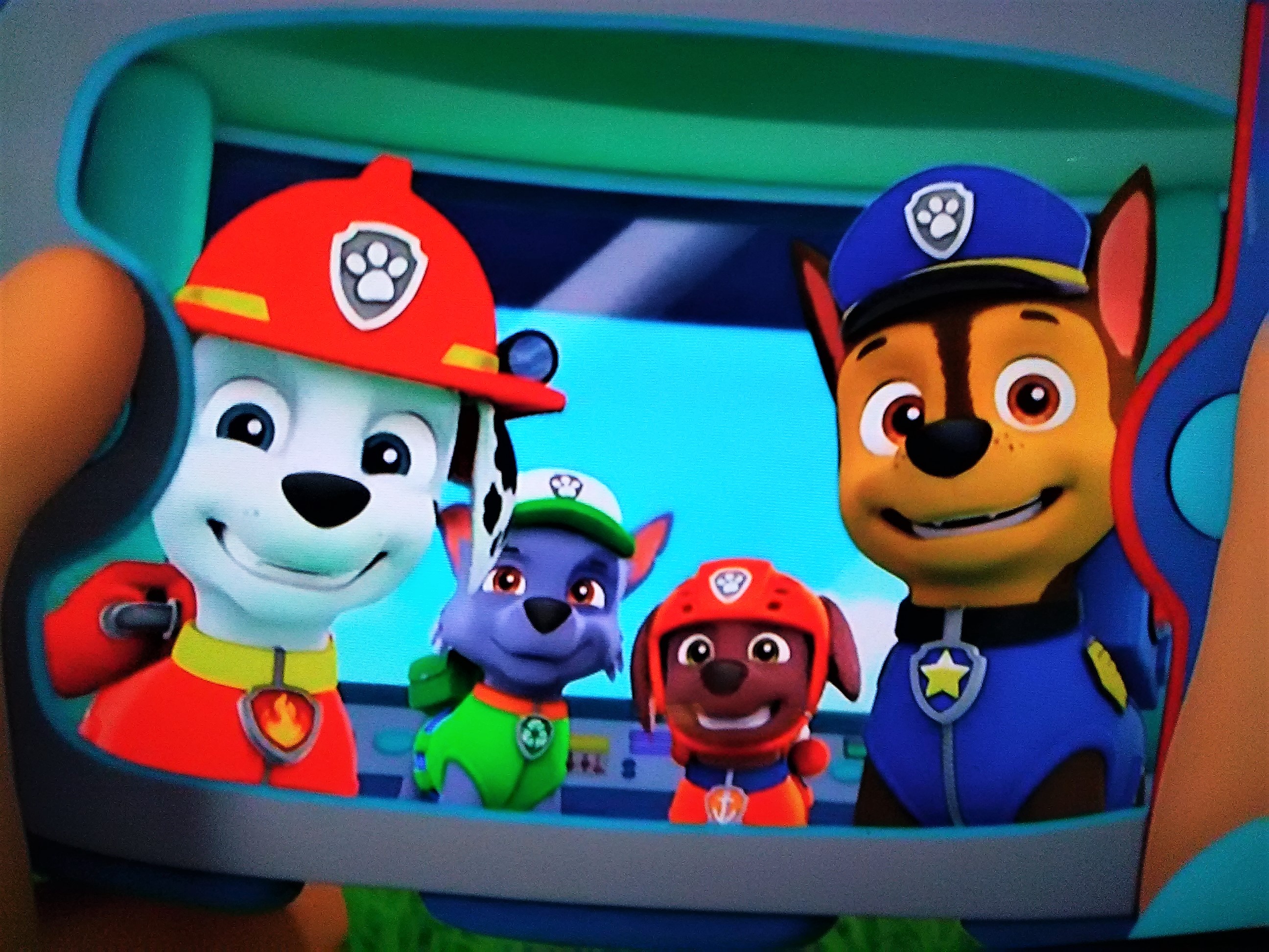 Personaggi Chase e Marshall Paw Patrol