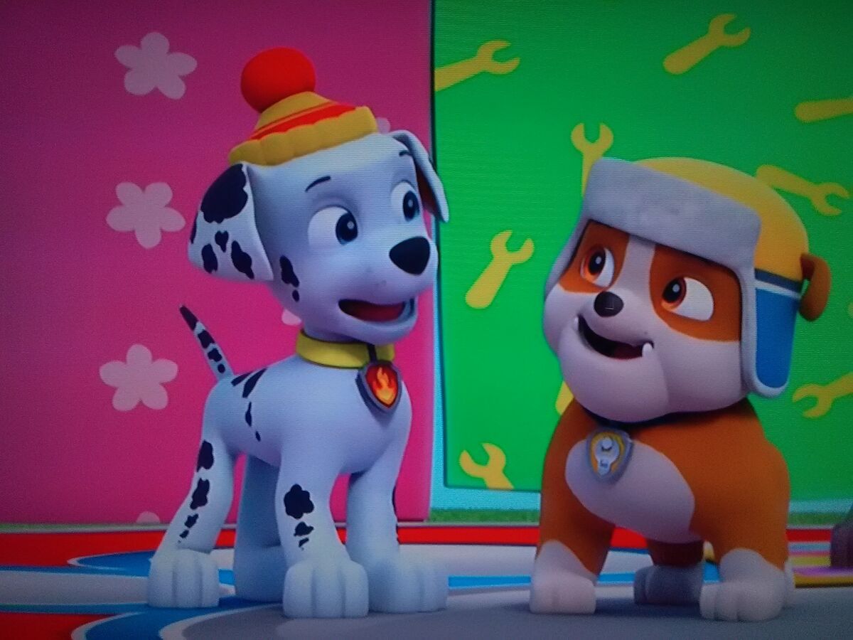 Marshall & Rubble/Gallery, Paw Patrol Relation Ship Wiki