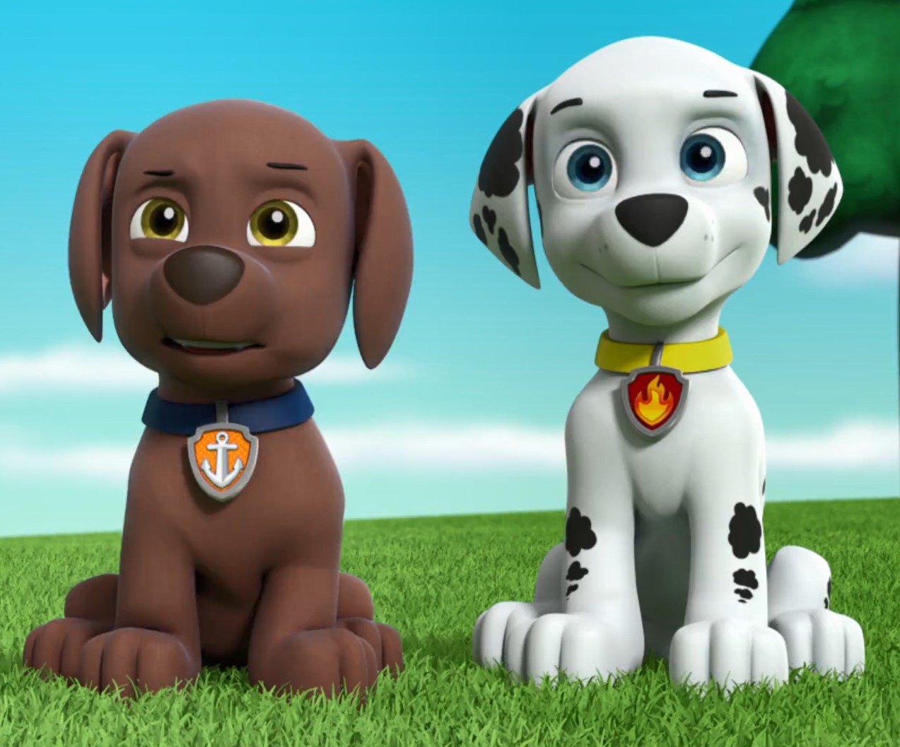 Zuma, PAW Patrol Homemade Wiki