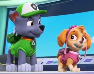 Paw patrol rocky and everest clearance