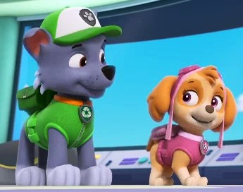 Rocky & Chase, Paw Patrol Relation Ship Wiki