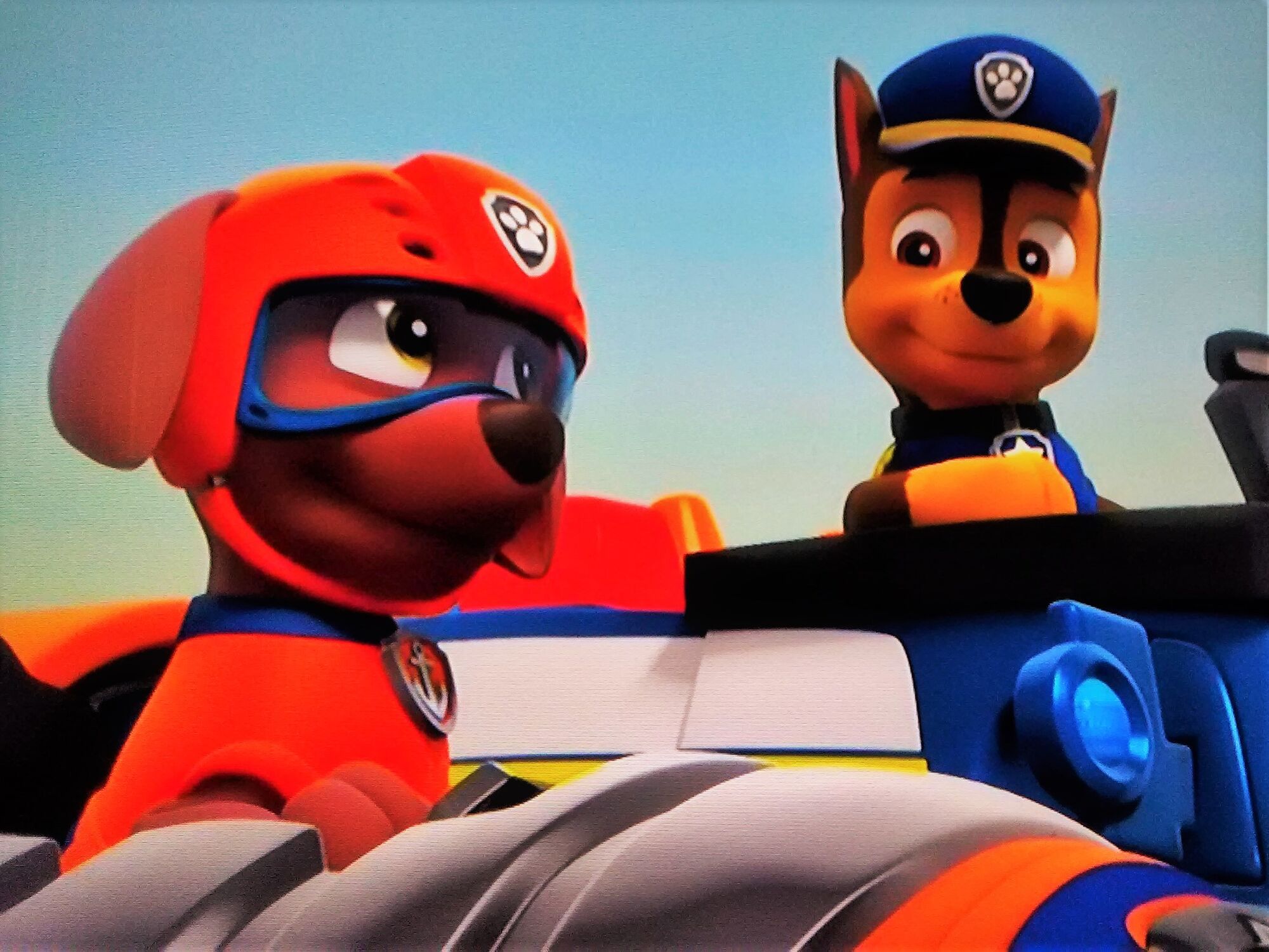 Chase Zuma | Paw Patrol Relation Ship Wiki | Fandom