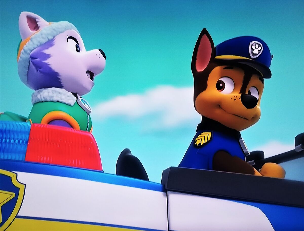 Chase & Zuma, Paw Patrol Relation Ship Wiki