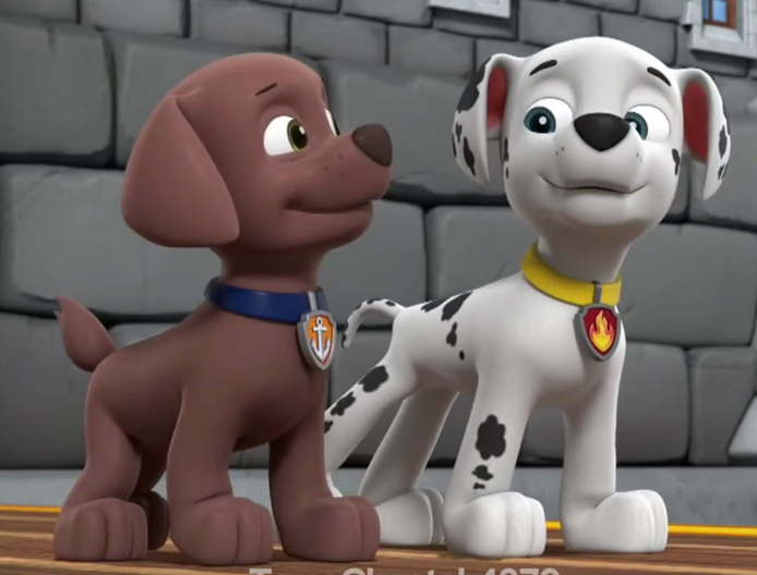 Zuma & Marshall, Paw Patrol Relation Ship Wiki