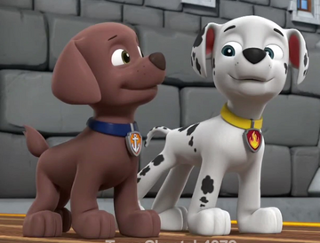 Marshall saying from paw patrol shop