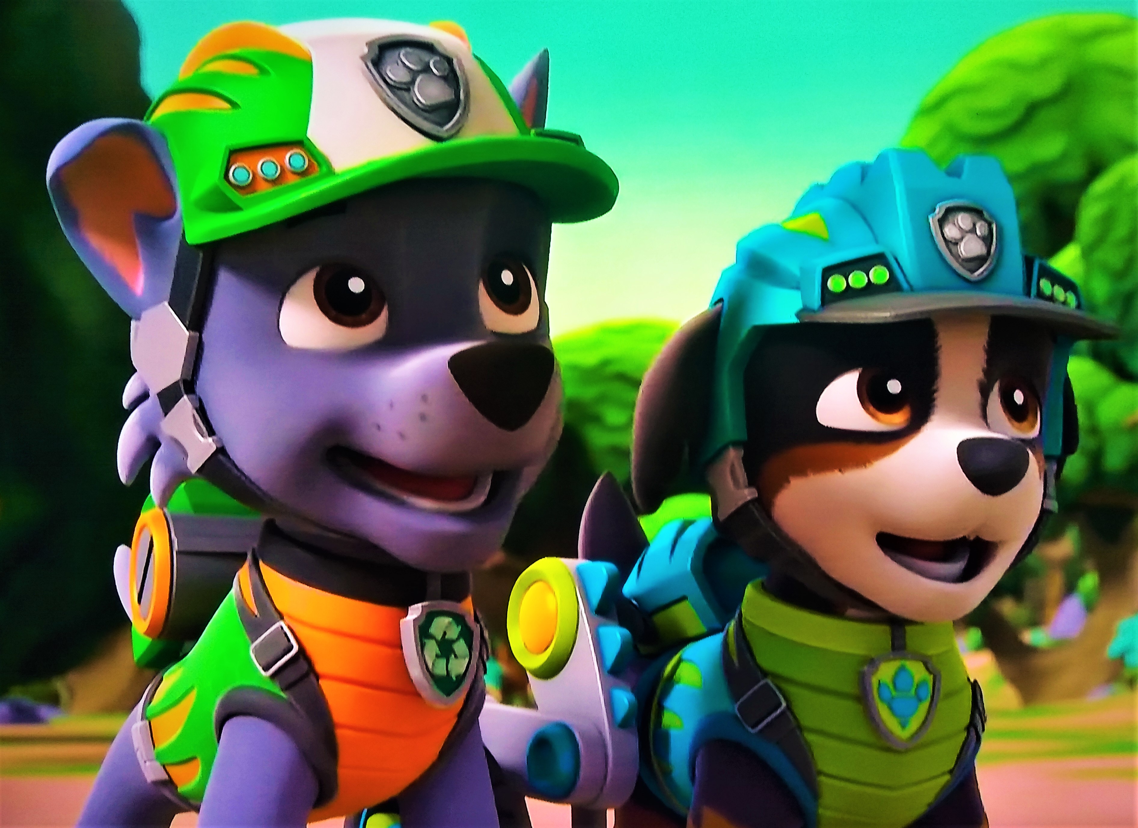 Rocky, PAW Patrol Wiki