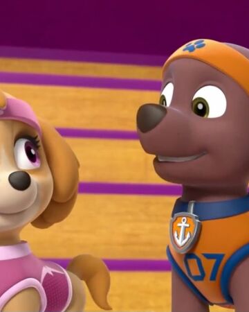 petroleum Retfærdighed desillusion Zuma & Skye | Paw Patrol Relation Ship Wiki | Fandom