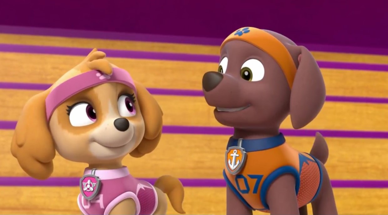 Zuma & Skye | Paw Patrol Ship Wiki | Fandom