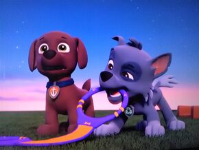 Zuma, Paw Patrol Relation Ship Wiki