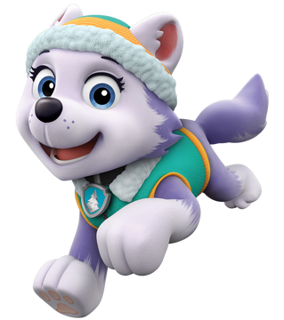 Paw patrol adventure bay skye and everest sales