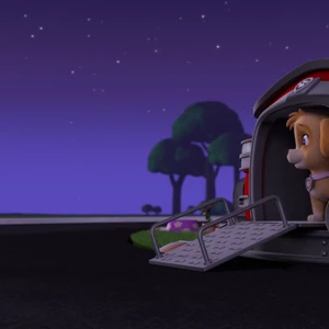 Marshall X Skye Paw Patrol Relation Ship Wiki Fandom
